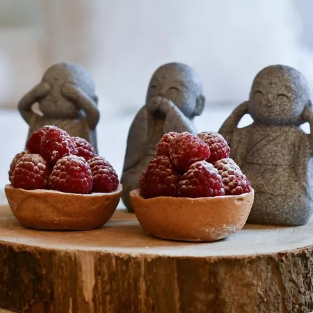 酒店 塞尔塔酒店 2*