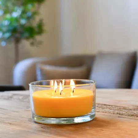 塞尔塔酒店 酒店