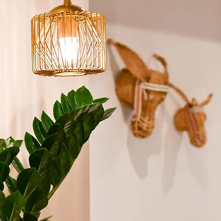 酒店 塞尔塔酒店 2*