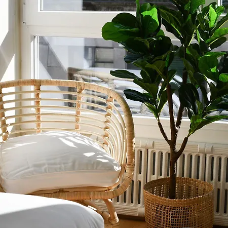 塞尔塔酒店 酒店 2*