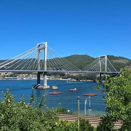 Celta
