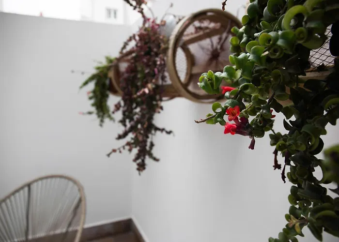 מלון Celta ויגו