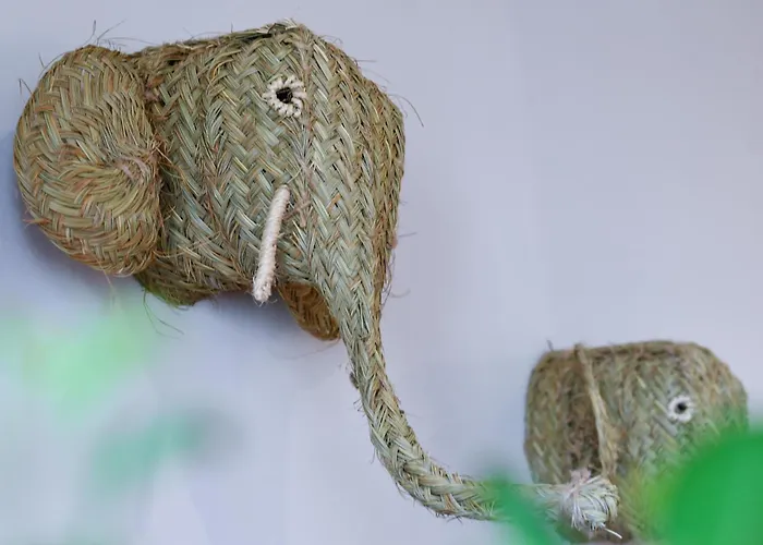 Ξενοδοχείο Celta